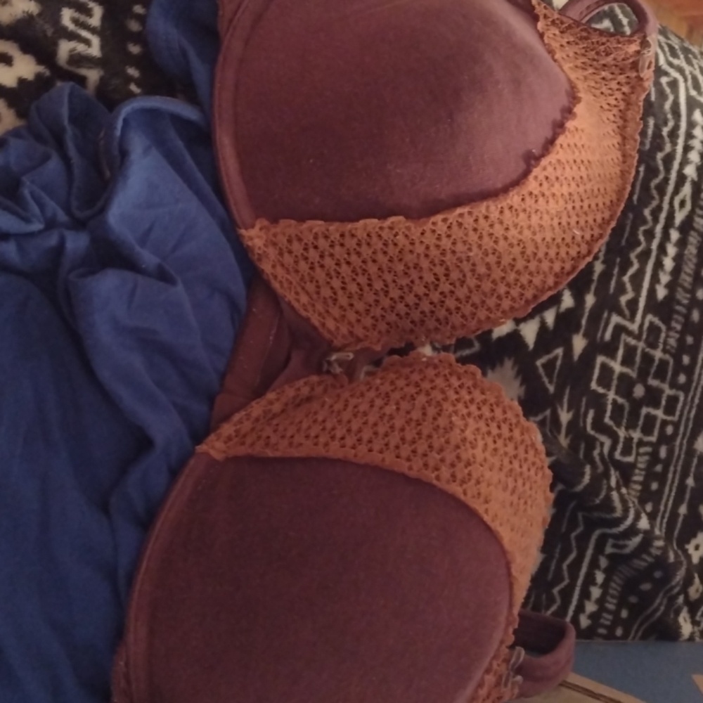 Lane Bryant bra